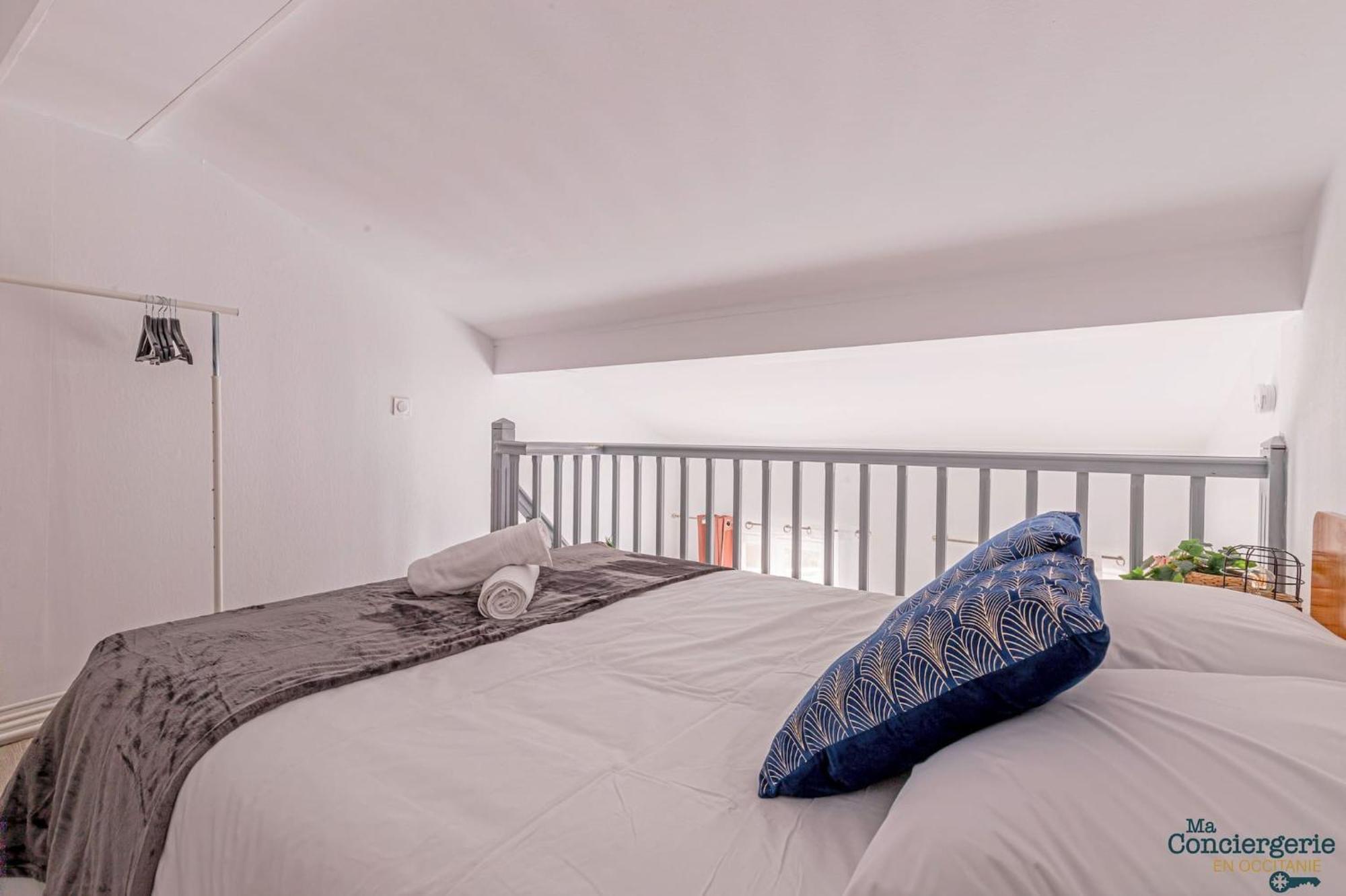 Duplex Champetre : Gare, Marche, Hypercentre Apartamento Toulouse Exterior foto
