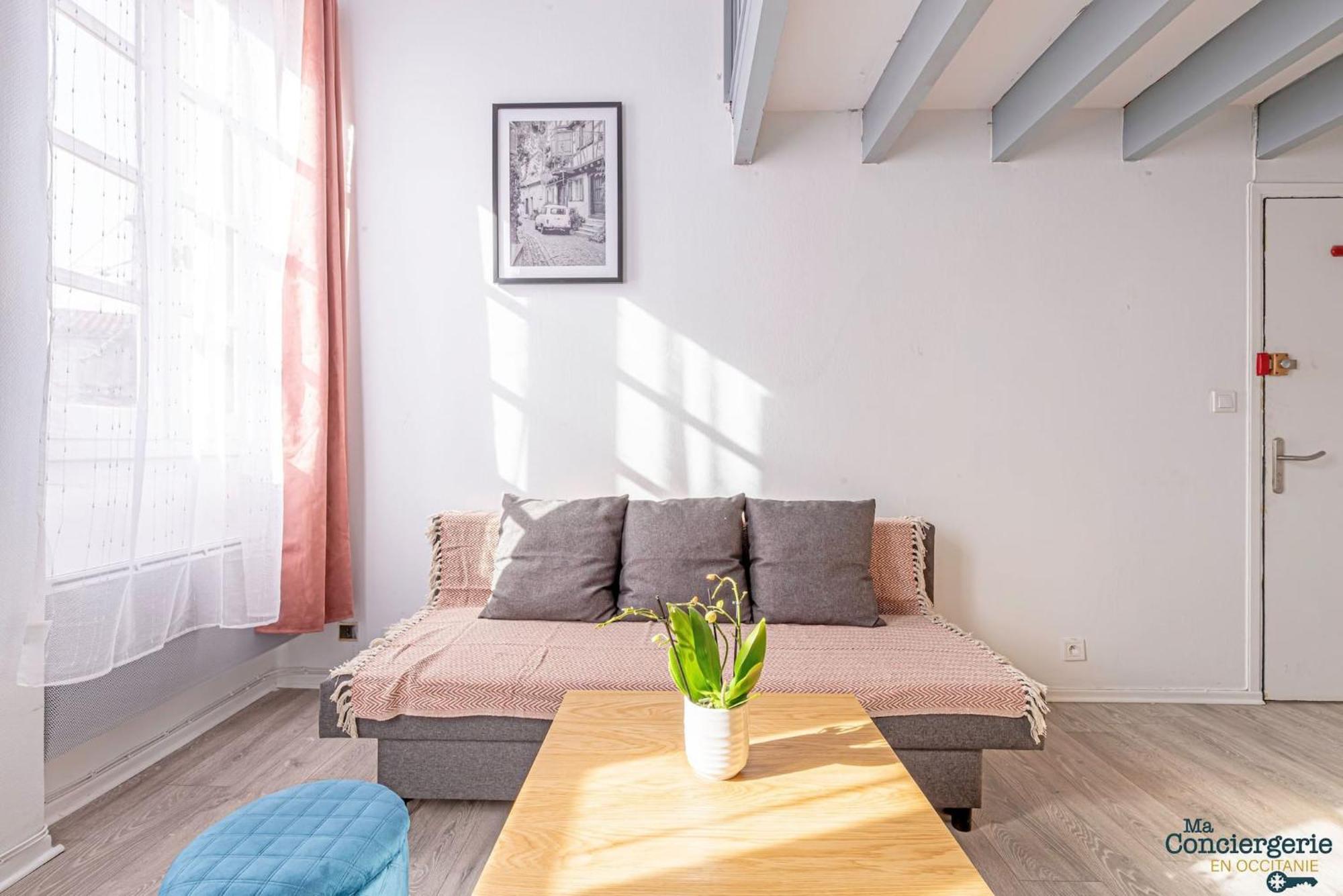Duplex Champetre : Gare, Marche, Hypercentre Apartamento Toulouse Exterior foto