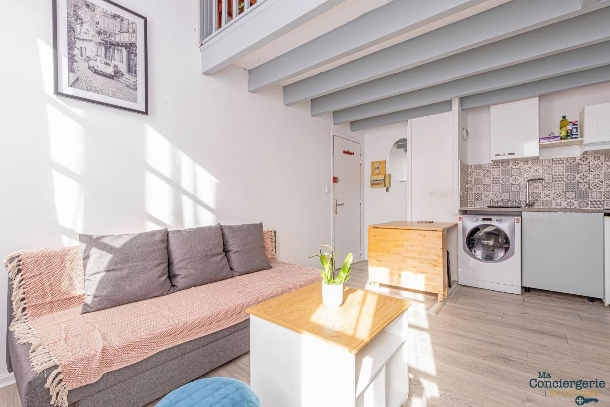Duplex Champetre : Gare, Marche, Hypercentre Apartamento Toulouse Exterior foto