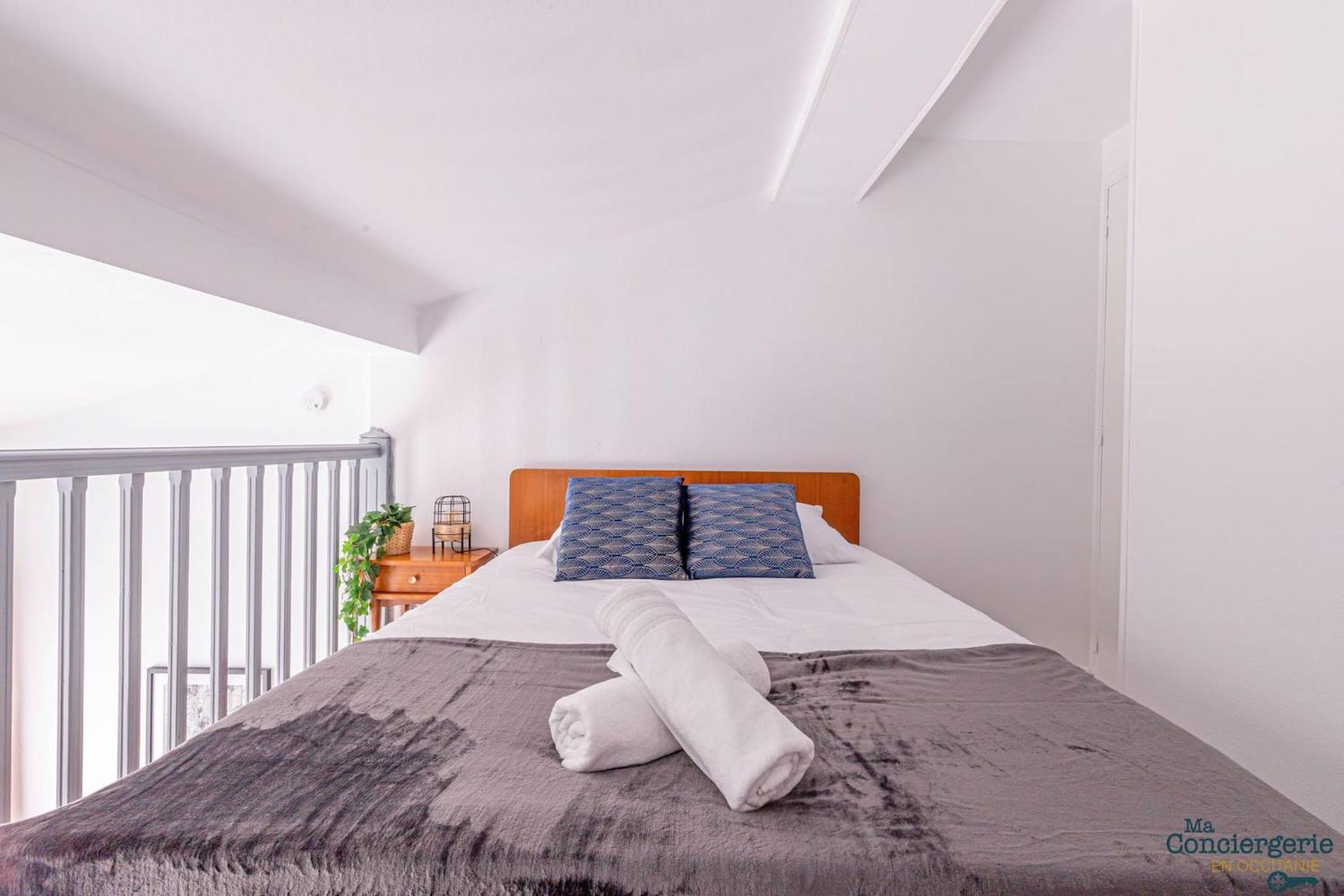Duplex Champetre : Gare, Marche, Hypercentre Apartamento Toulouse Exterior foto