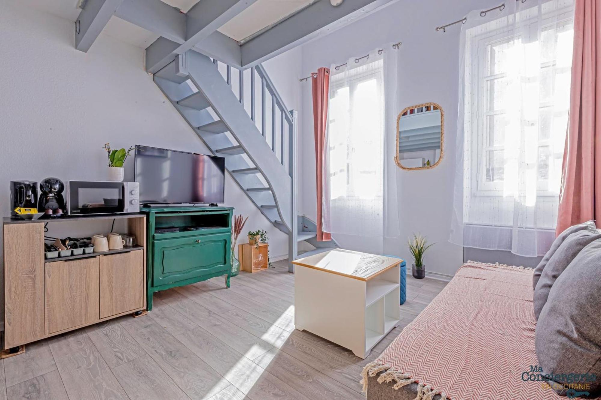Duplex Champetre : Gare, Marche, Hypercentre Apartamento Toulouse Exterior foto